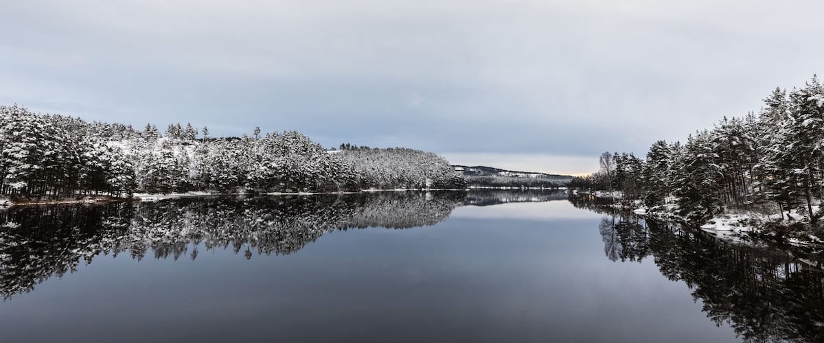 A calm lake surrounded by snow-covered trees and a cloudy sky.