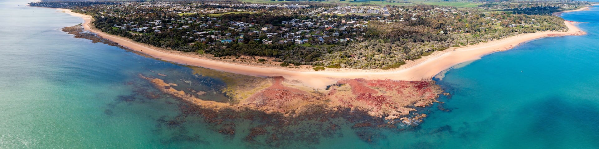 An aerial view of a coastal area with a sandy beach, a densely populated residential area, and a distinct patch of red algae in the water.