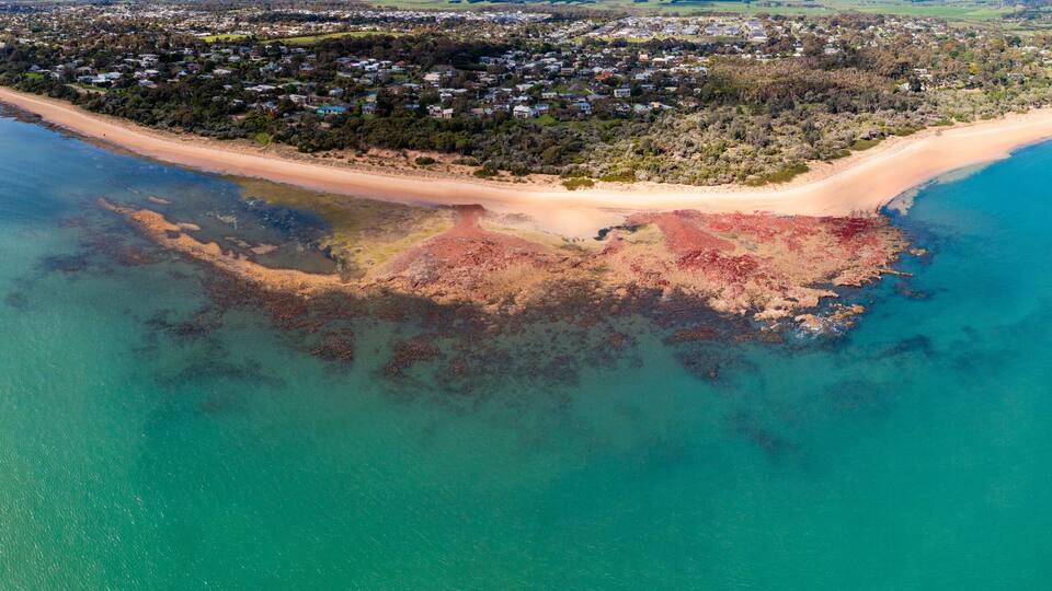 An aerial view of a coastal area with a beach, a forested peninsula, and clear blue waters.