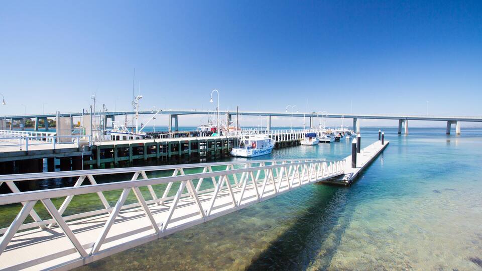 A pier with boats docked, a bridge in the background, and clear blue water.