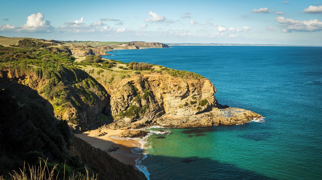 At the end of Punch Bowl Road in San Remo is access to the George Bass Coastal Walk which takes you along the cliff tips to Kilcunda. Enjoy!
#georgebasscoastalwalk #sanremo #gippsland #victoria #australia