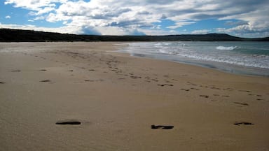 South Durras Beach - The sand, so thick and wet, it's like cake batter encasing your feet. This is one of my favourite places to camp... when it's not busy during school holidays that is. Although even then, it's never really crowded.