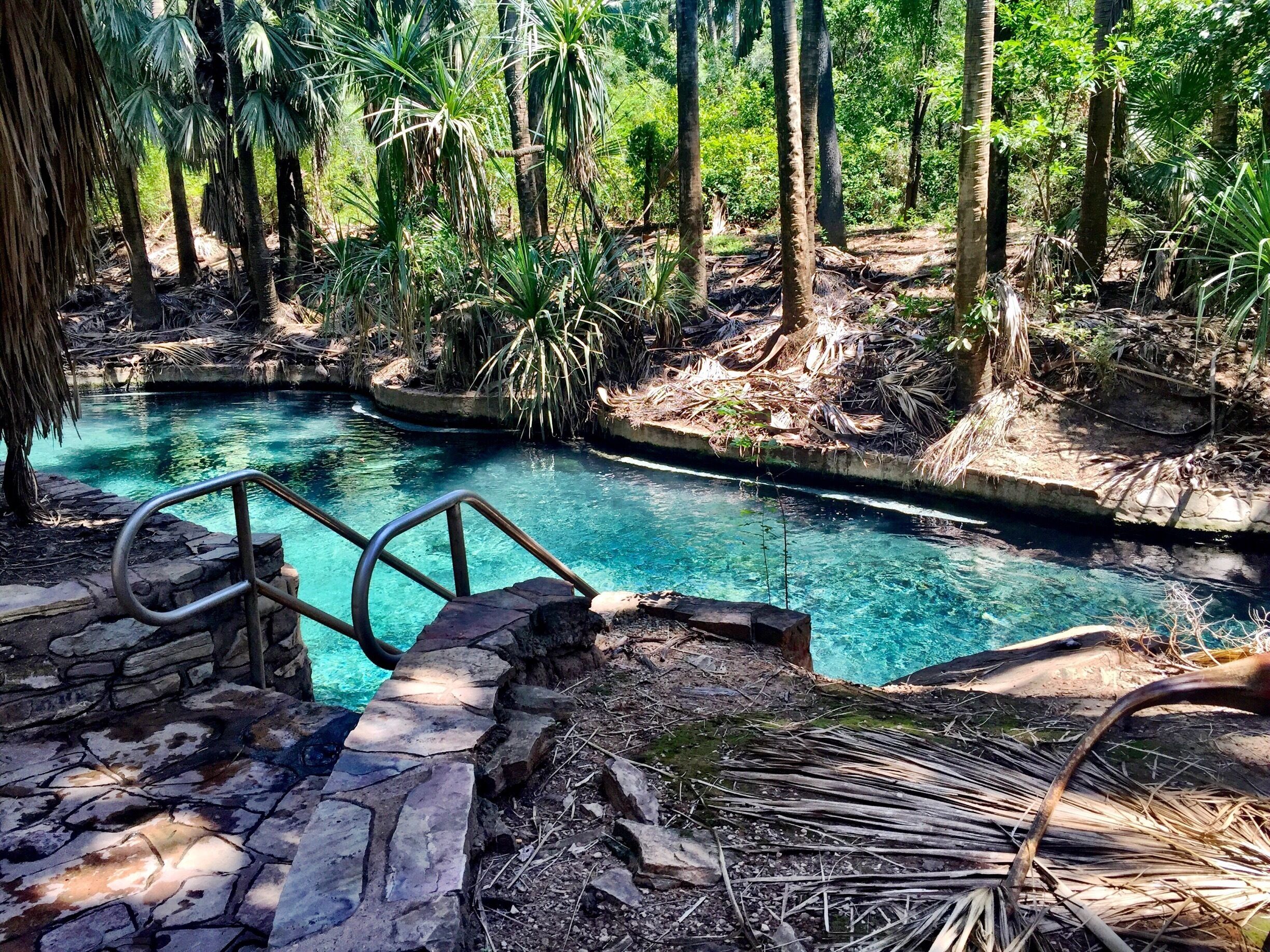 A clear blue pool surrounded by tropical vegetation and stone steps leading into the water.