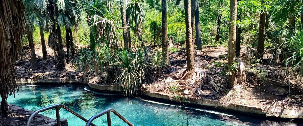A clear blue pool surrounded by tropical vegetation and stone steps leading into the water.