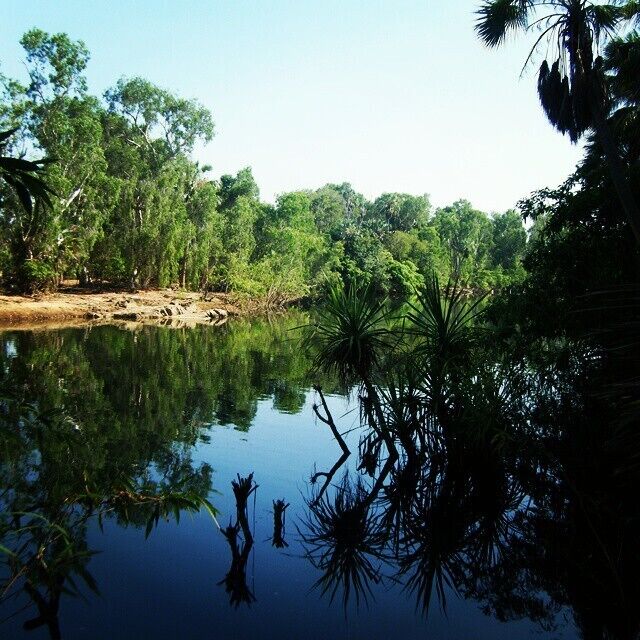 Elsey River in Elsey National Park. Theres nothing like the Northern Territory! #blue