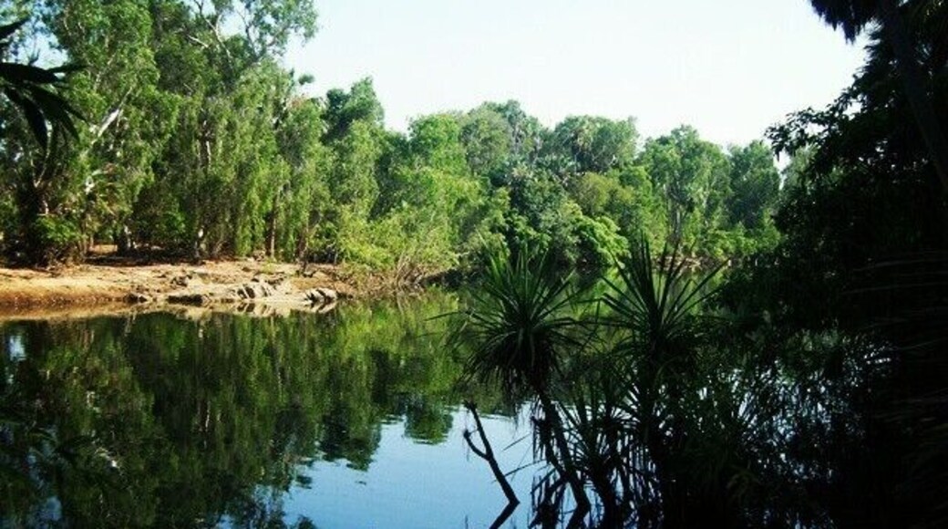 Elsey River in Elsey National Park. Theres nothing like the Northern Territory! #blue