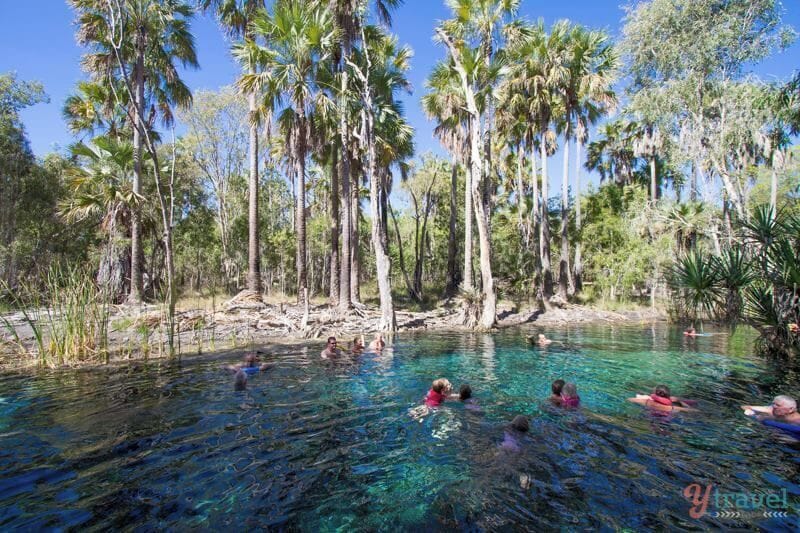 "Bitter Springs" in Elsey National Park at Mataranka. Lovely thermal spring. The current flows from left to right, you float down, walk back, then repeat. Bring a noodle or floatation device as it's too deep to stand