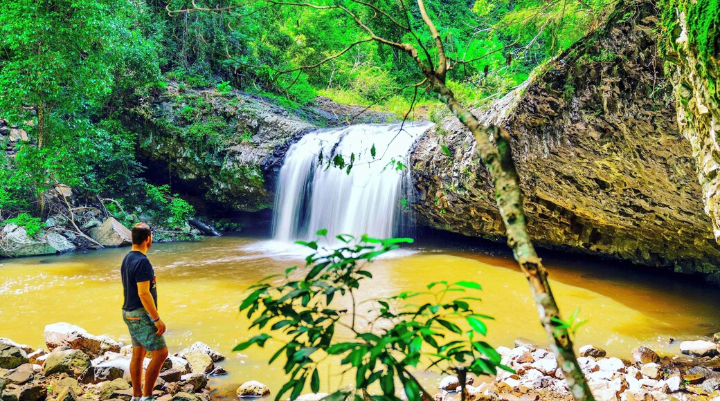 Come up a treat after some harsh weather