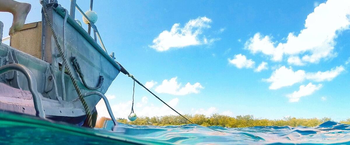 Step off the boat and dive straight into the amazing waters around @ladyelliotislandecoresort! ☀️🐠🐟🌴😀
#GoProANZ #visitgladstone #southerngreatbarrierreef #thisisqueensland #seeaustralia
