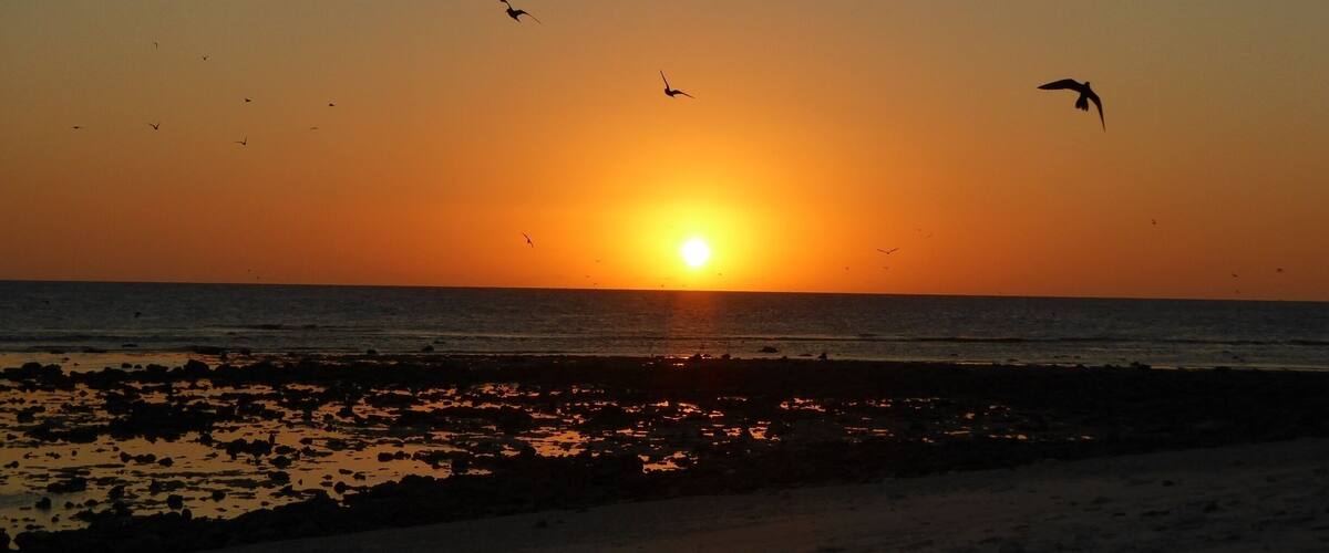Beautiful sunset over the reef at low tide on a magical island