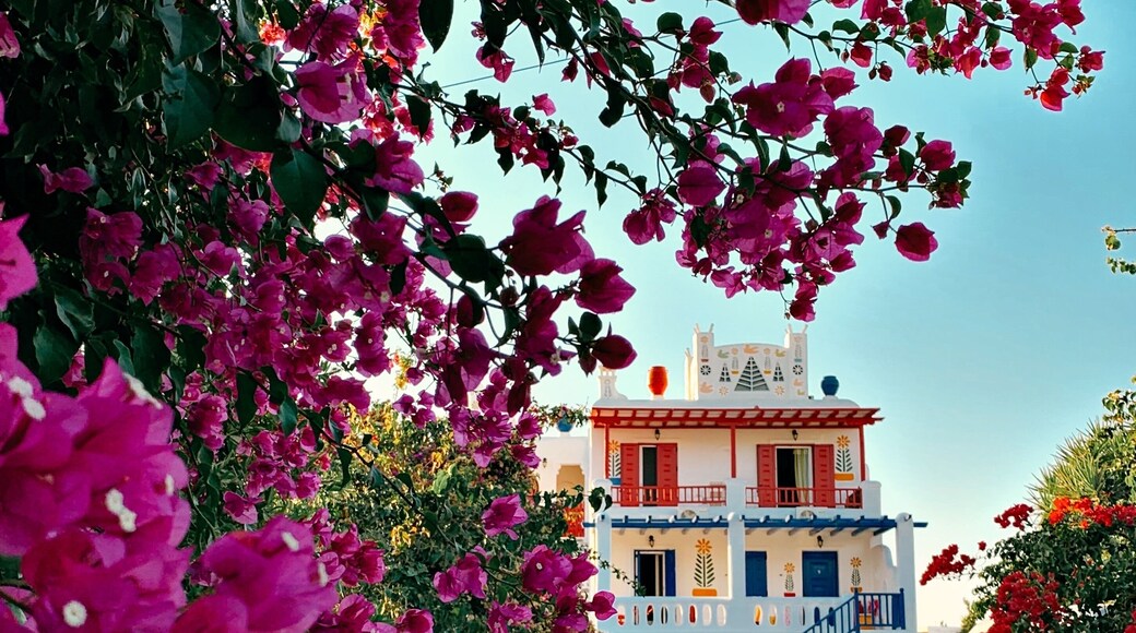 This studio hotel with artistically painted walls is worth a shot.