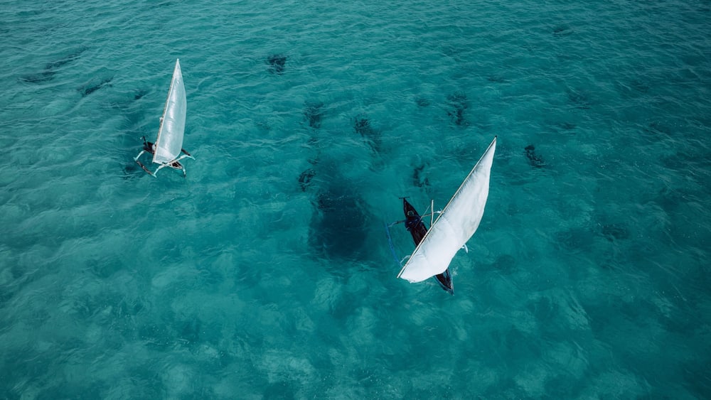 Dhow sailboats on turquoise waters