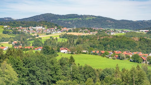 ๋ทํ๋ฒ ๋ฅดํฌ