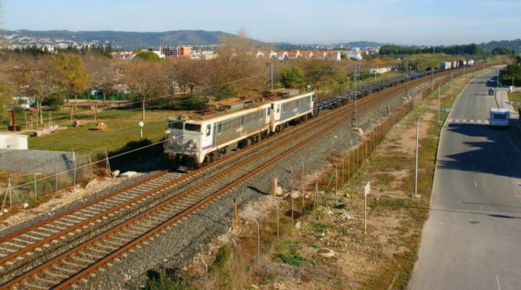 En aquesta foto poques dades puc aportar, ja que les japoneses i el TECO (potser el de Constantí) no ho he pogut identificar, el que si puc afirmar, es que vaig passar un bon matí i que en aquest punt en menys de 2 hores van passar 5 mercants, des de balast (pendent de penjar), TECO's (aquest mateix), butano, portacotxes, sorra, un balanç bastant bo. En esta foto pocos datos puedo aportar, ya que la/s japonesas y el TECO (quizás el de Constantí) no lo he podido identificar, tan solo puedo afirmar que pasé una buena mañana y que en este punto en menos de 2 horas pasaron 5 mercantes, desde balasto (pendiente de colgar), TECO's (este mismo), butano, portacoches, arenero, un balance bastante bueno.