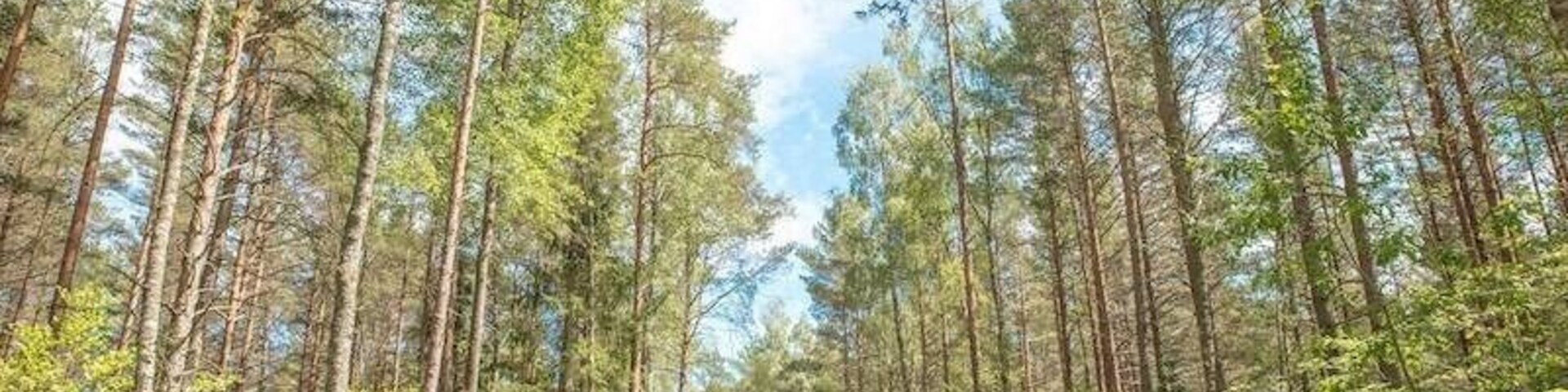 Riga is a great destination for solo female travelers; extremely walkable with loads to do in the city and via day trip. You can make use of their effective transport system to visit places like Kemeri National Park, shown here. Within the park are loads of hikes, and you'll heartbeat will instantly slow as you walk among the trees, swamps and birds. Recommendation: don't miss the gorgeous Sloka Lake!