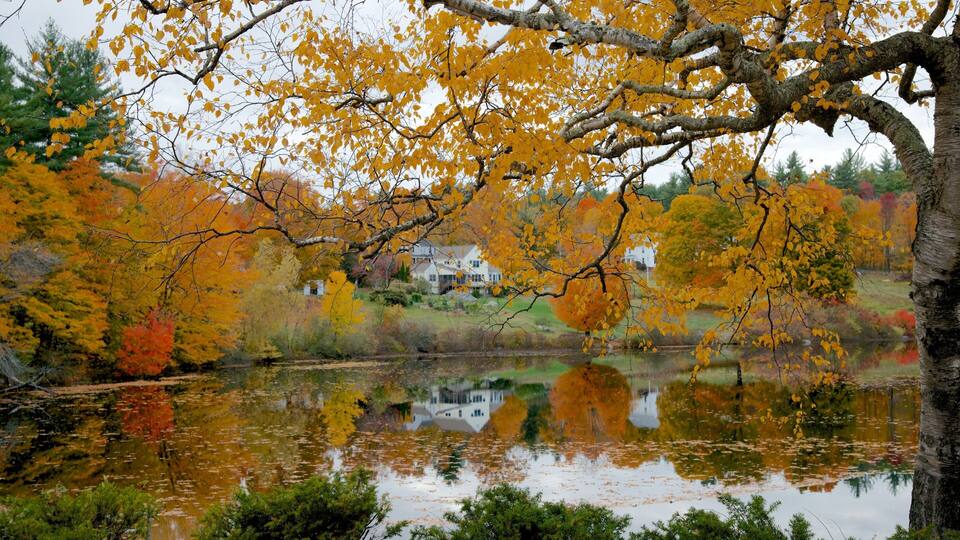 A lake surrounded by autumn trees with yellow leaves, a house in the background, and a clear reflection in the water.