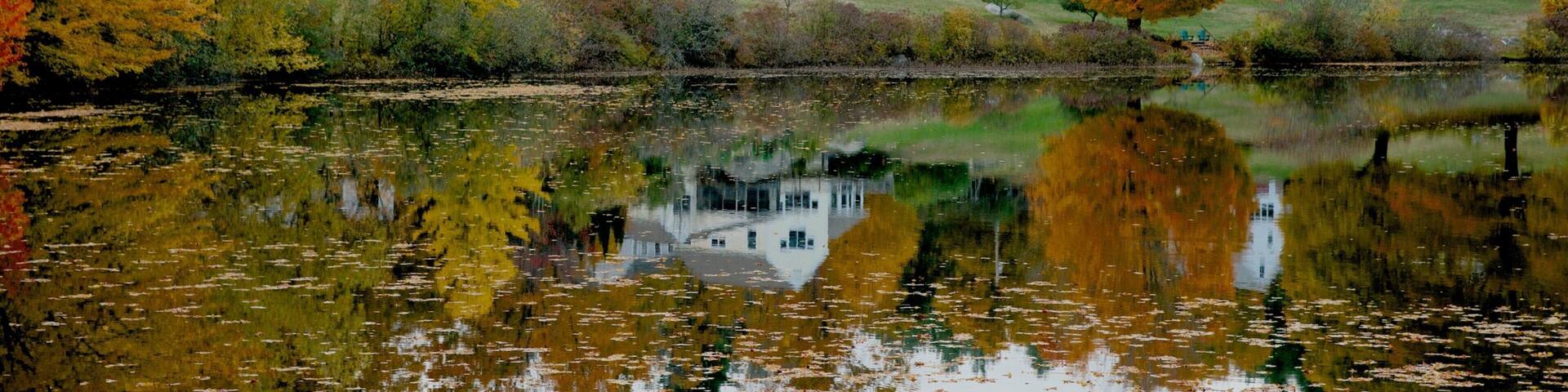 Hancock showing fall colors and a lake or waterhole