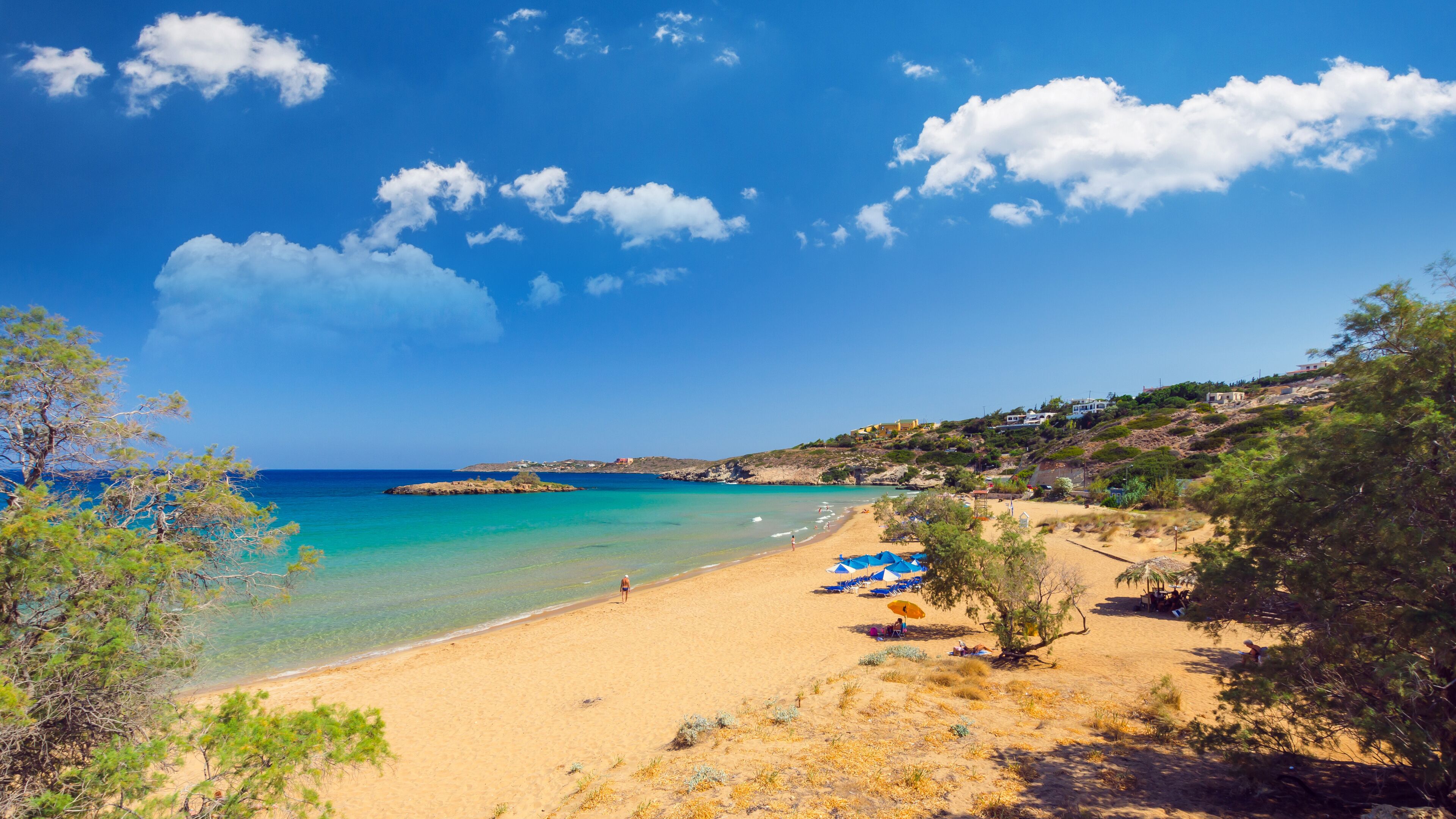 A beach with clear turquoise waters, sandy shore, and scattered trees.