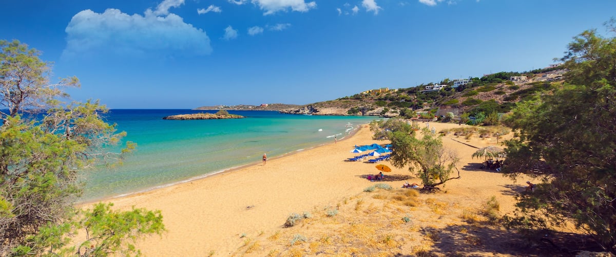 A beach with clear turquoise waters, sandy shore, and scattered trees.