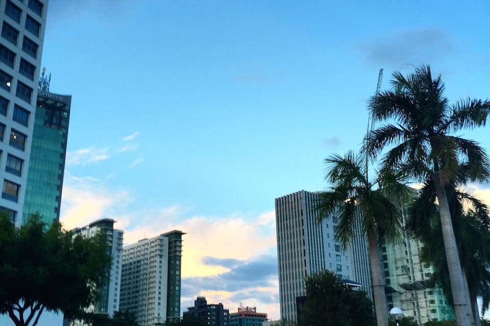 A cityscape with tall buildings, palm trees, and a clear sky.