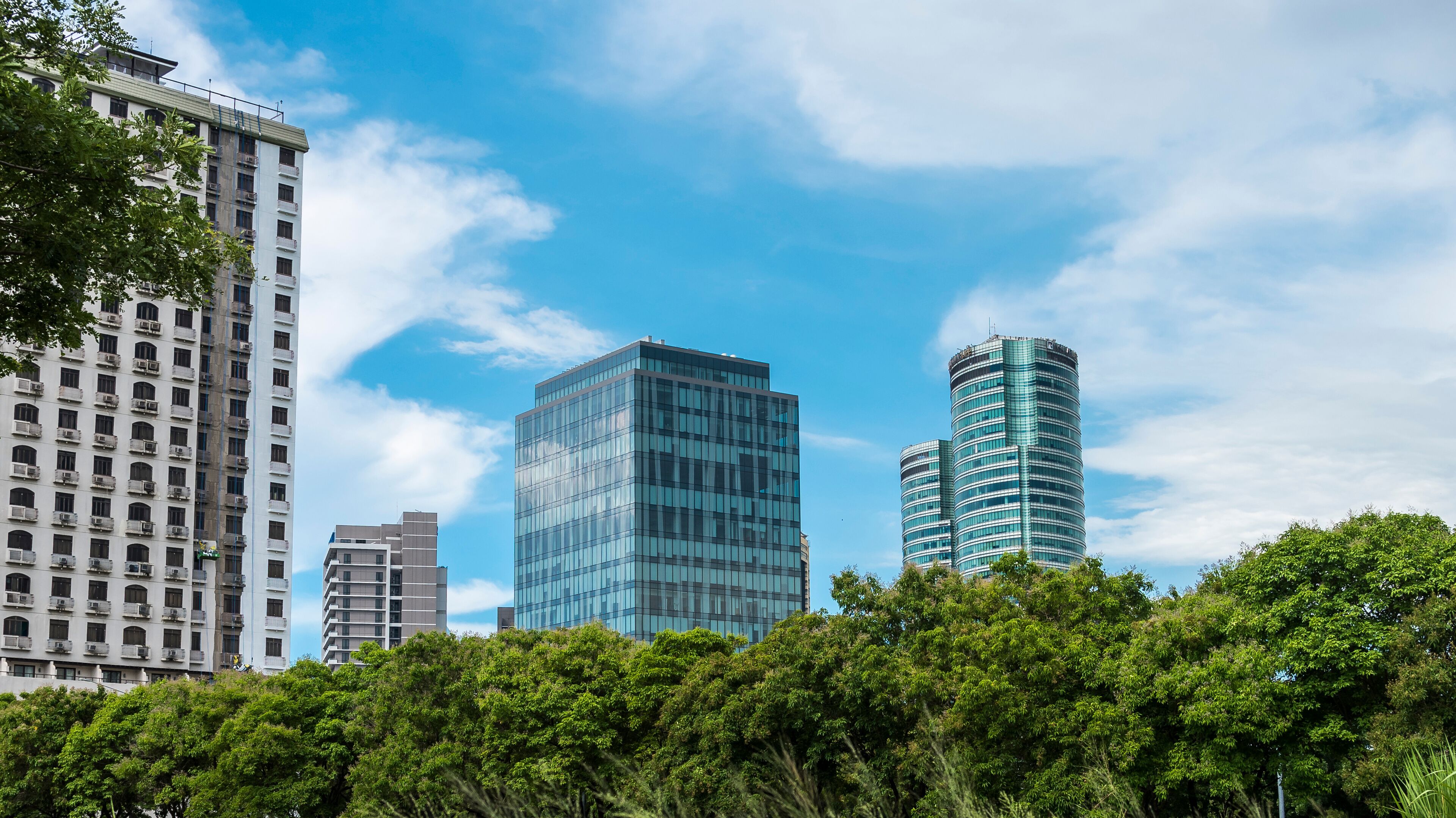 A cityscape with modern buildings and lush green trees.