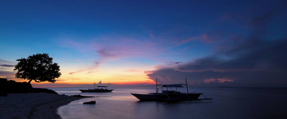 A beach at sunset with boats and a tree silhouetted against the sky.
