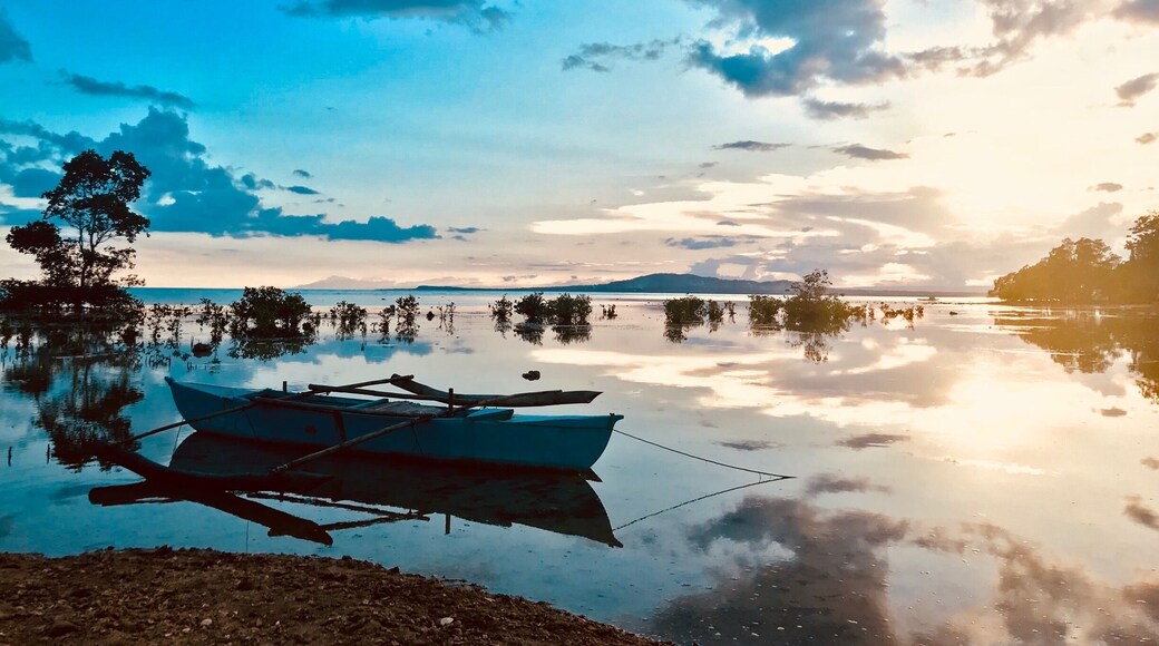 Just outside a phyton sanctuary in Bohol, Philippines. Really like the sunset effect on the beach here.