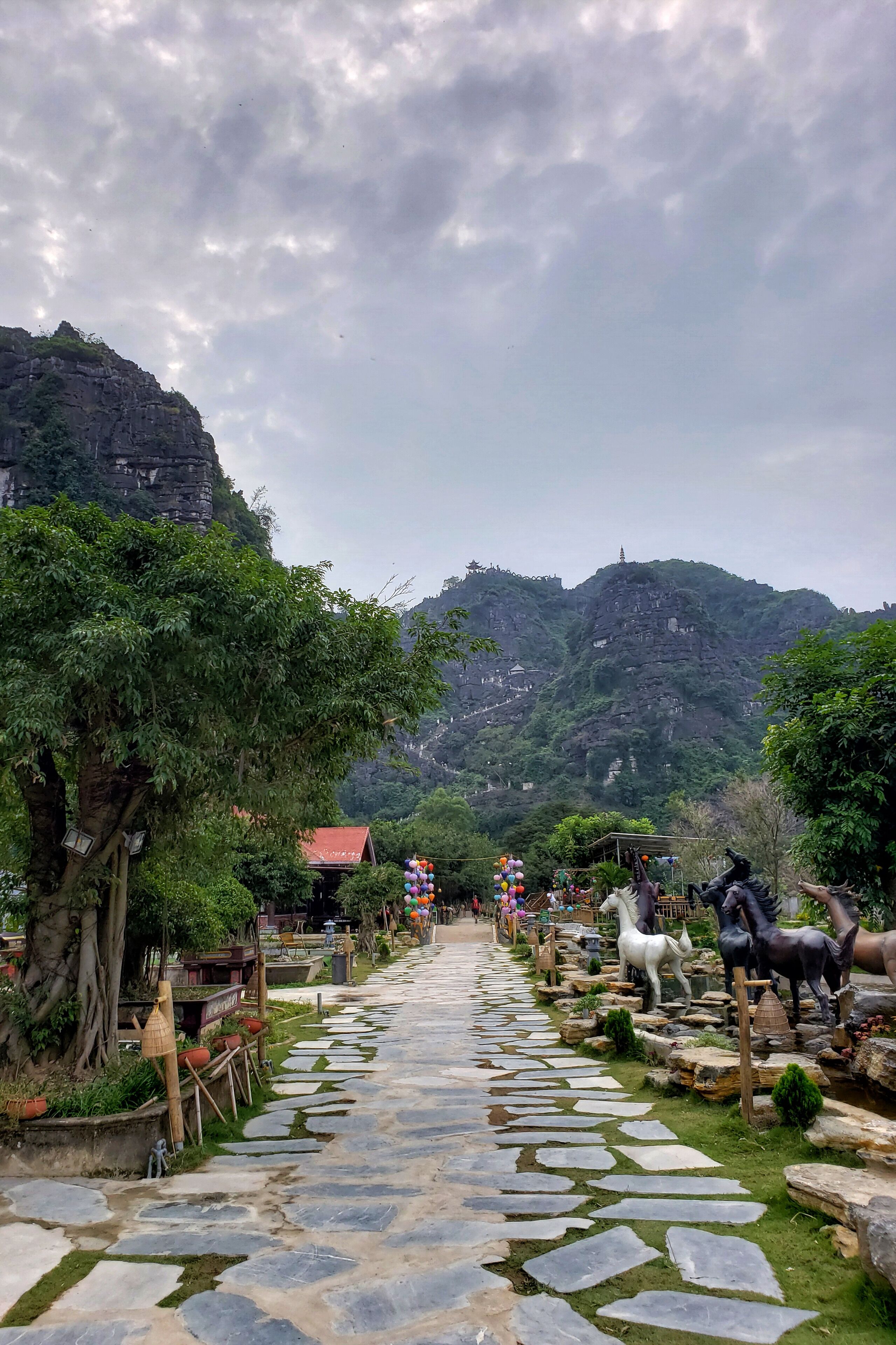 Making my way to the highest point in this photo!