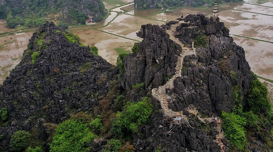 When in Vietnam, visit Ninh Binh!
#nature
