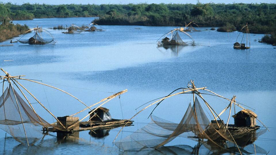 Fishing nets in the water with a forest in the background.
