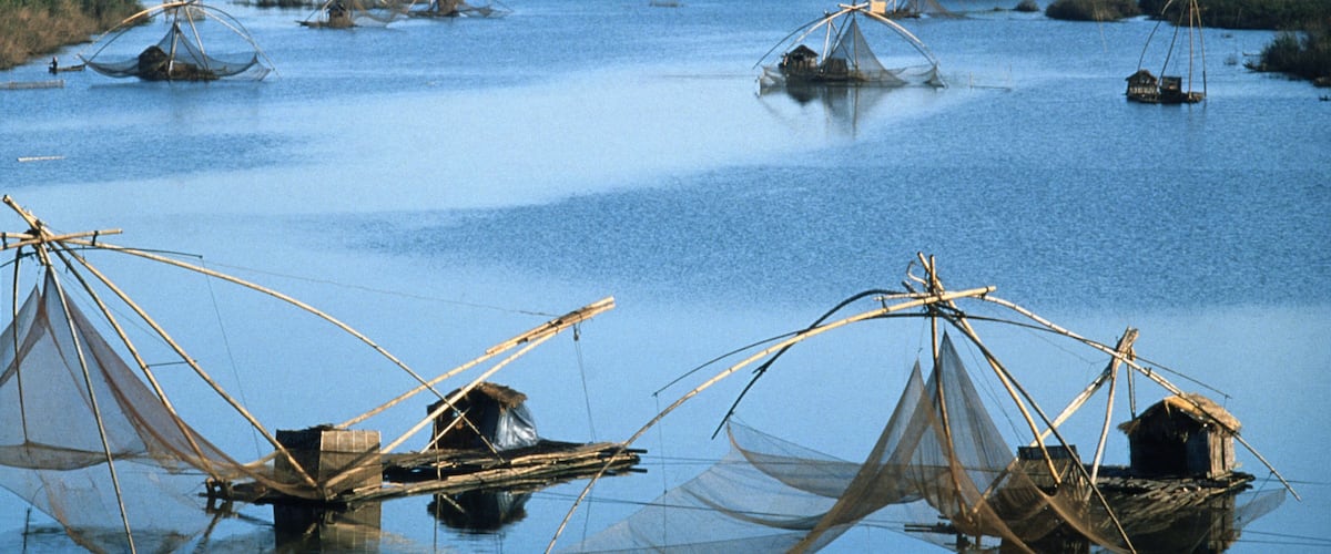 Fishing nets in the water with a forest in the background.