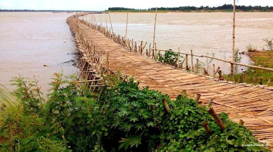 The bridge is made of solid bamboo structure (100%!) for locals to cross the Mekong River to Koh Paen Island. What's fascinating is that when the river rises, the bamboo bridge will disappear and when it recedes, the bridge will be built again by scratch.
More stories: http://bit.ly/1z5fPDy