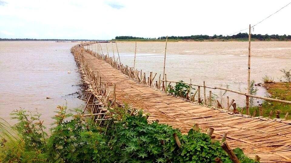 A bamboo bridge over a river with greenery in the foreground.