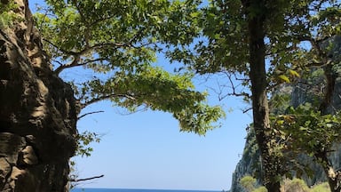 A rocky coastline with clear blue sea, a sandy beach, and lush greenery.