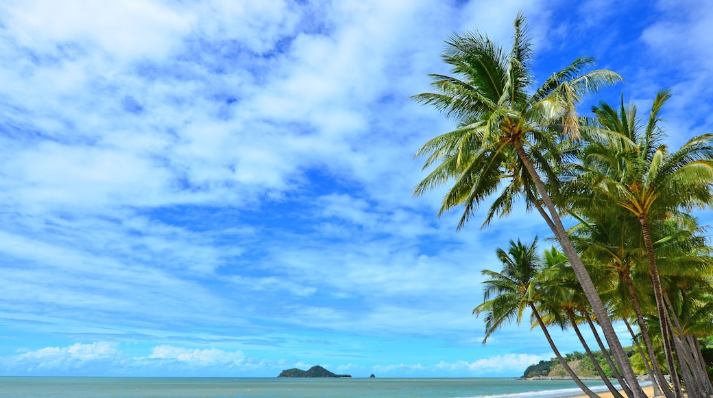Une plage bordée de palmiers, sous un ciel dégagé.