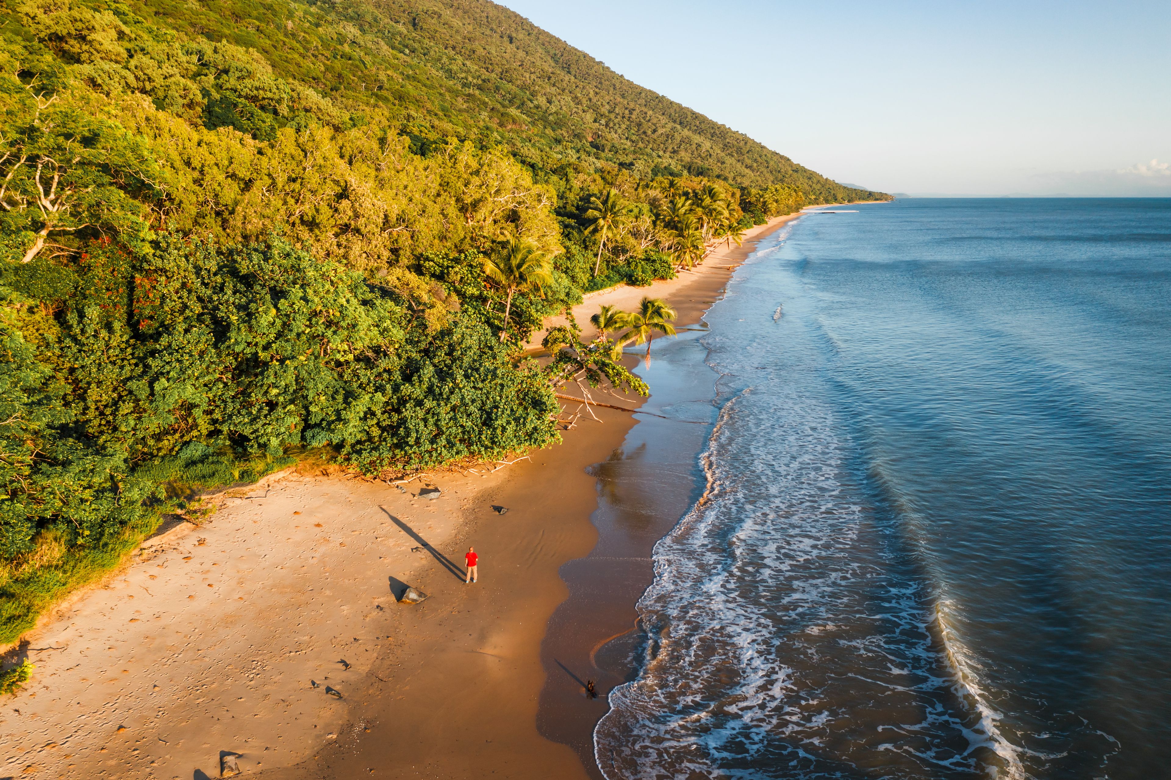 Une plage bordée d’une colline boisée, avec un rivage sablonneux et des vagues douces.