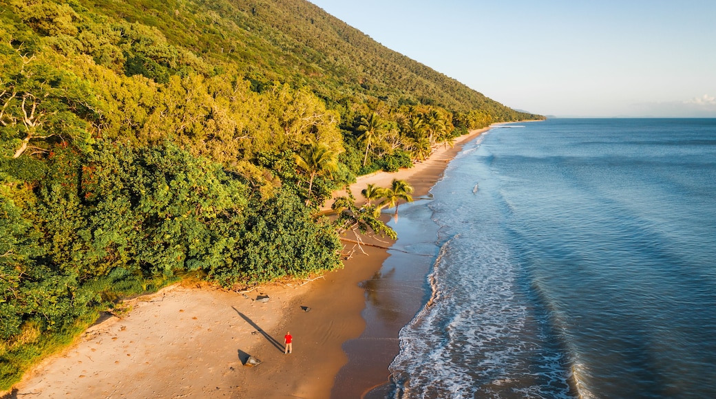 Une plage bordée d’une colline boisée, avec un rivage sablonneux et des vagues douces.