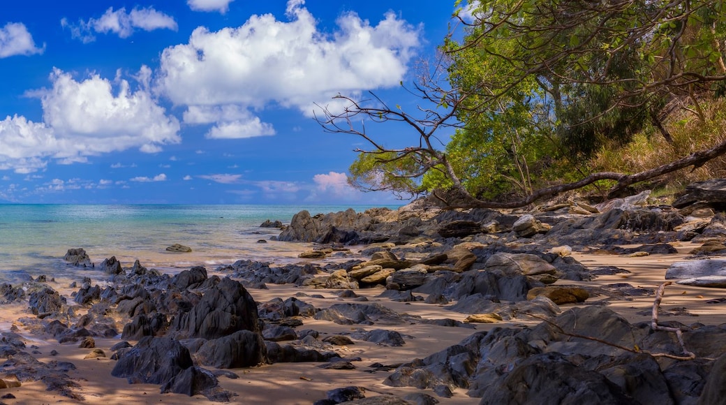 Une plage tropicale avec une eau turquoise et limpide, des rivages sablonneux et des affleurements rocheux.