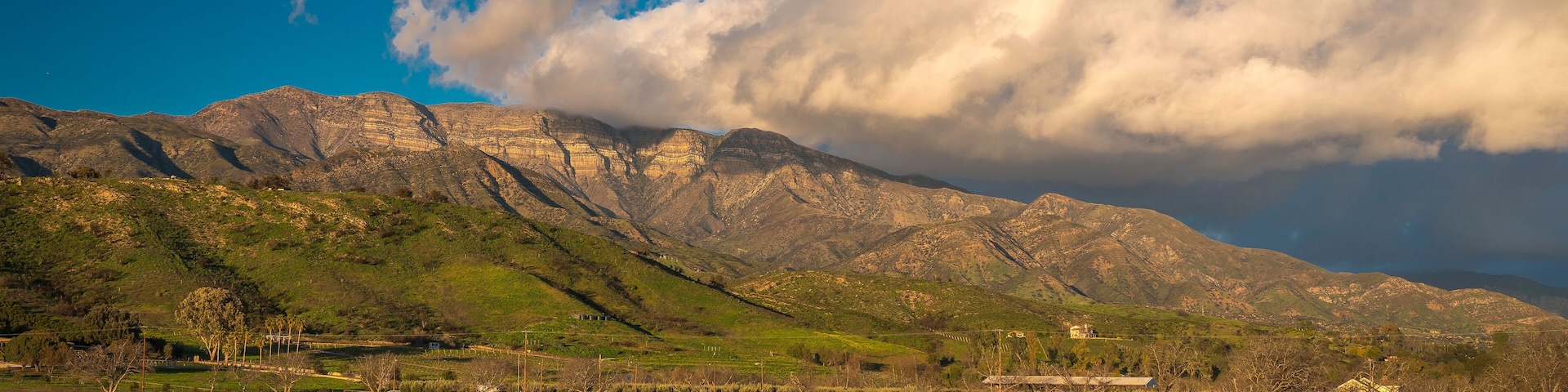 Un campo de flores amarillas, una cadena montañosa y un cielo nublado.
