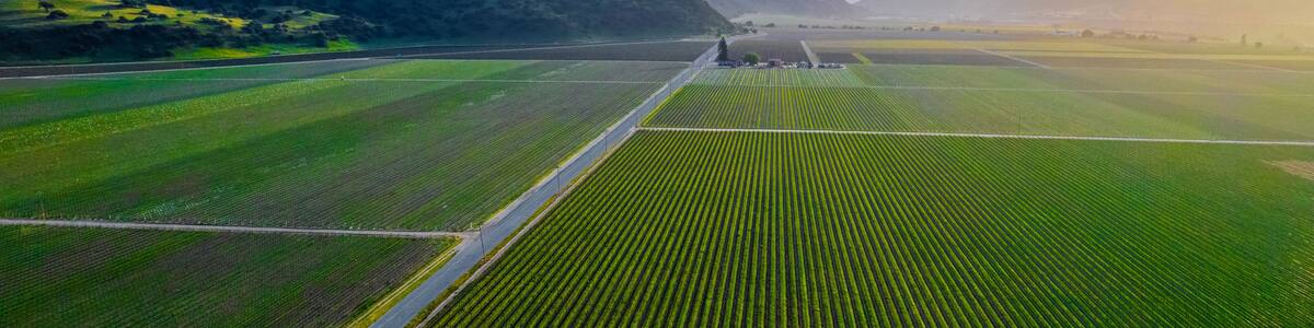 Greenfield view of Arroyo Seco