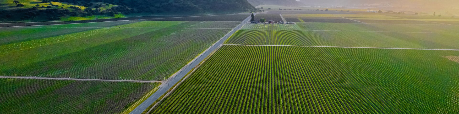 Greenfield view of Arroyo Seco