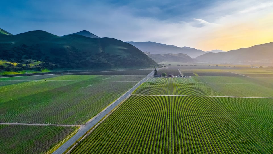 An aerial view of a vast agricultural landscape with green fields and distant mountains.