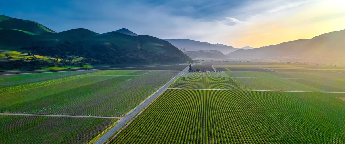 Greenfield view of Arroyo Seco