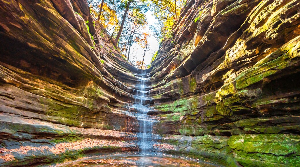 Starved Rock State Park view in Illinois of USA