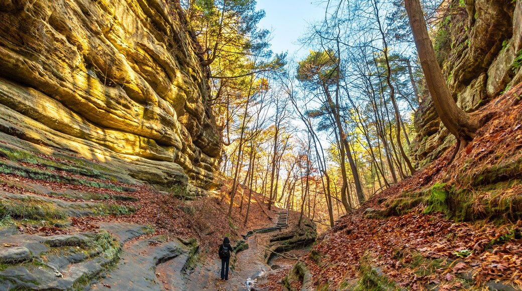 Starved Rock State Park view in Illinois of USA