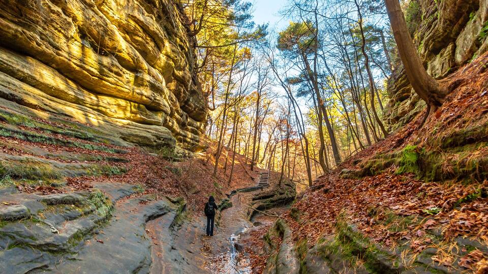 A forest trail with a person hiking, surrounded by rocky cliffs and autumn foliage.