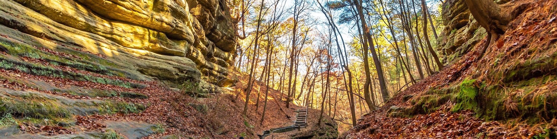A forest trail with a person hiking, surrounded by rocky cliffs and autumn foliage.
