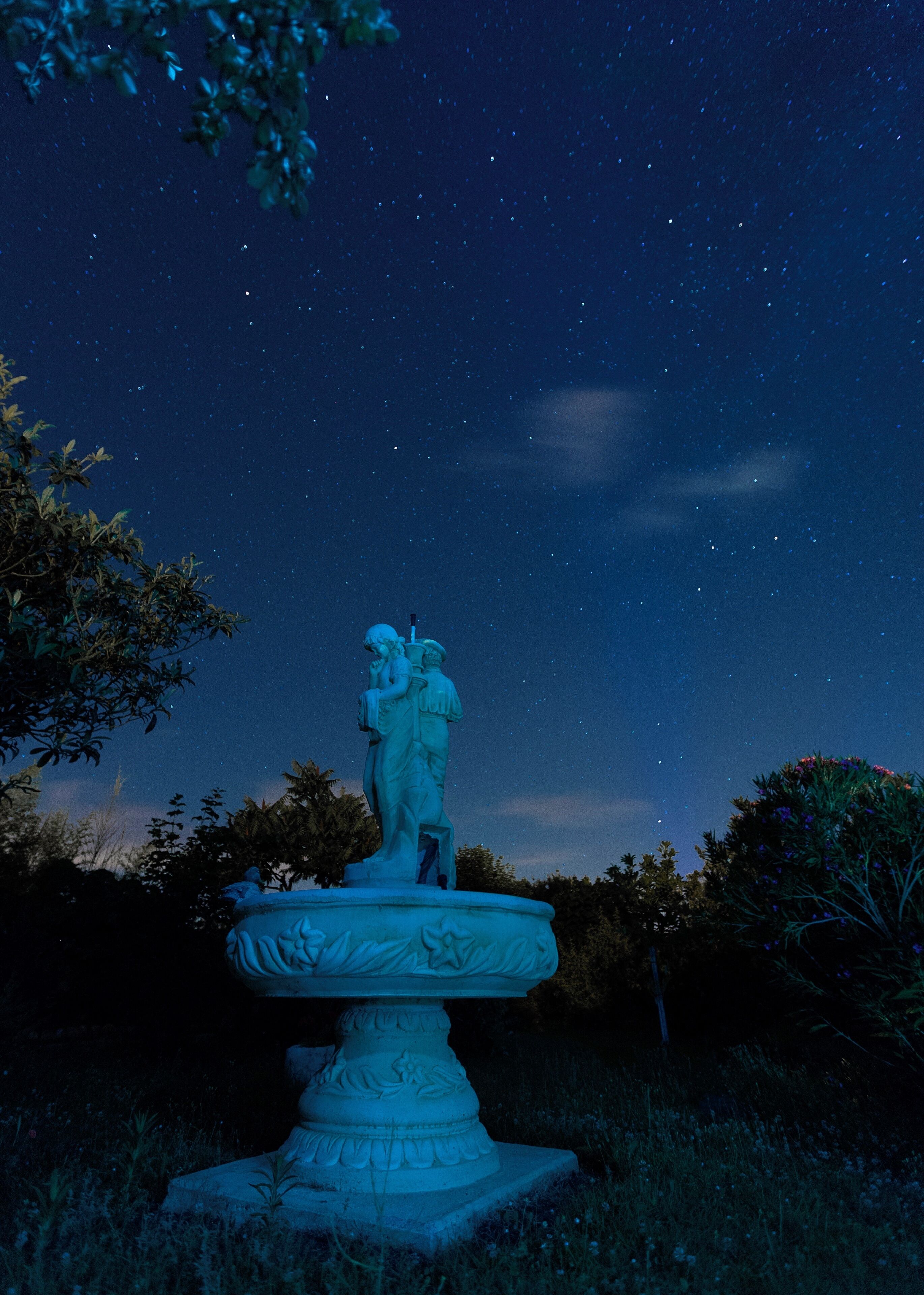 Holidays - summer - beautiful garden under the stars #BVSBlue