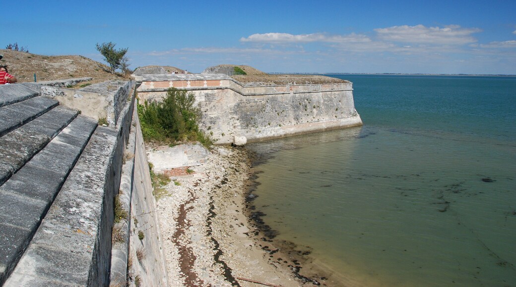 Vue de l'île d'Oléron.