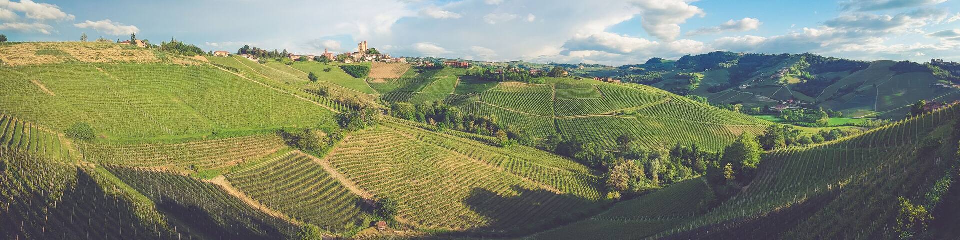 Serralunga d'Alba town on the hill surrounded by vineyards and fields, Panoramic view with blue sky. Piedmont, Italy